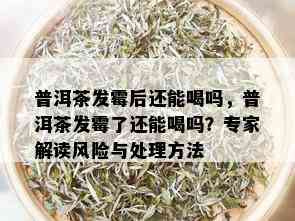 普洱茶发霉后还能喝吗，普洱茶发霉了还能喝吗？专家解读风险与处理方法