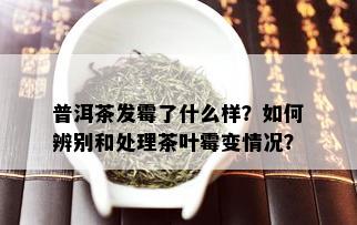 普洱茶发霉了什么样？如何辨别和处理茶叶霉变情况？