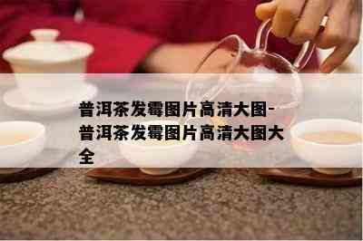 普洱茶发霉图片高清大图-普洱茶发霉图片高清大图大全