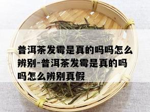 普洱茶发霉是真的吗吗怎么辨别-普洱茶发霉是真的吗吗怎么辨别真假