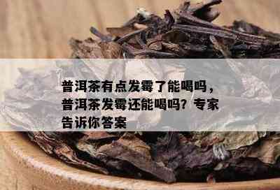 普洱茶有点发霉了能喝吗，普洱茶发霉还能喝吗？专家告诉你答案