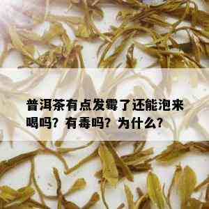 普洱茶有点发霉了还能泡来喝吗？有吗？为什么？