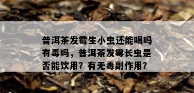 普洱茶发霉生小虫还能喝吗有吗，普洱茶发霉长虫是否能饮用？有无副作用？