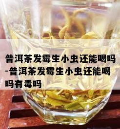 普洱茶发霉生小虫还能喝吗-普洱茶发霉生小虫还能喝吗有吗