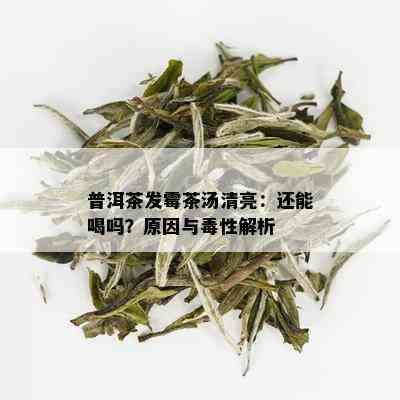 普洱茶发霉茶汤清亮：还能喝吗？原因与性解析