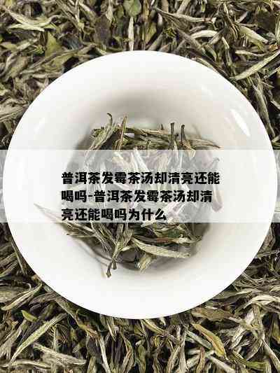 普洱茶发霉茶汤却清亮还能喝吗-普洱茶发霉茶汤却清亮还能喝吗为什么