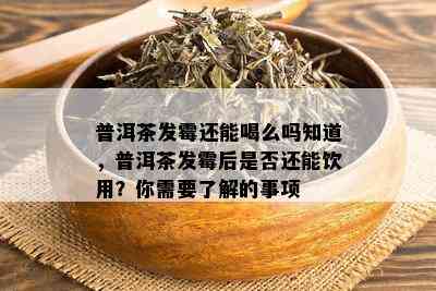 普洱茶发霉还能喝么吗知道，普洱茶发霉后是否还能饮用？你需要了解的事项