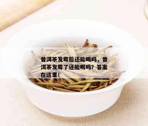 普洱茶发霉后还能喝吗，普洱茶发霉了还能喝吗？答案在这里！