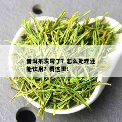 普洱茶发霉了？怎么处理还能饮用？看这里！