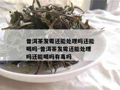 普洱茶发霉还能处理吗还能喝吗-普洱茶发霉还能处理吗还能喝吗有吗