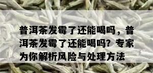 普洱茶发霉了还能喝吗，普洱茶发霉了还能喝吗？专家为你解析风险与处理方法