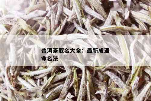 普洱茶取名大全：最新成语命名法