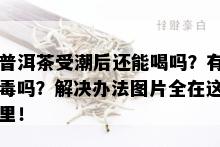 普洱茶受潮后还能喝吗？有吗？解决办法图片全在这里！