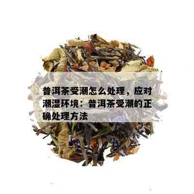 普洱茶受潮怎么处理，应对潮湿环境：普洱茶受潮的正确处理方法