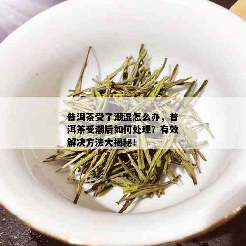 普洱茶受了潮湿怎么办，普洱茶受潮后如何处理？有效解决方法大揭秘！