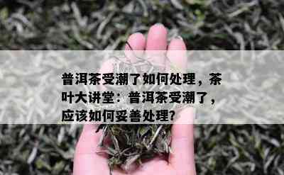 普洱茶受潮了如何处理，茶叶大讲堂：普洱茶受潮了，应该如何妥善处理？