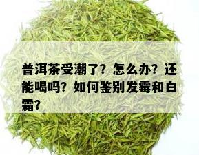 普洱茶受潮了？怎么办？还能喝吗？如何鉴别发霉和白霜？