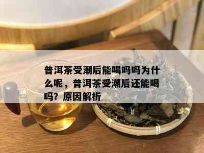 普洱茶受潮后能喝吗吗为什么呢，普洱茶受潮后还能喝吗？原因解析