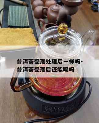 普洱茶受潮处理后一样吗-普洱茶受潮后还能喝吗