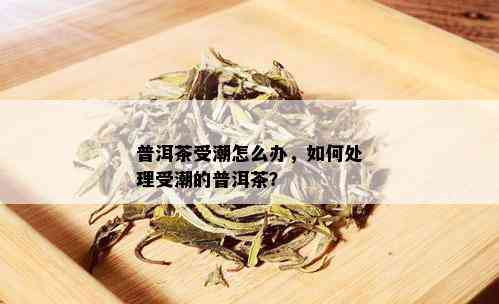 普洱茶受潮怎么办，如何处理受潮的普洱茶？