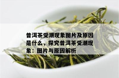 普洱茶受潮现象图片及原因是什么，探究普洱茶受潮现象：图片与原因解析