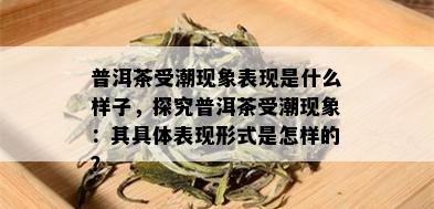 普洱茶受潮现象表现是什么样子，探究普洱茶受潮现象：其具体表现形式是怎样的？