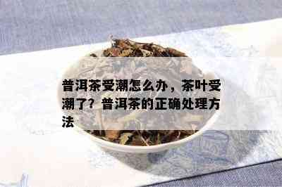 普洱茶受潮怎么办，茶叶受潮了？普洱茶的正确处理方法