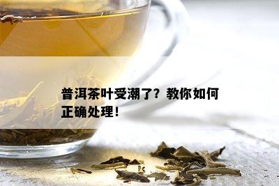 普洱茶叶受潮了？教你如何正确处理！