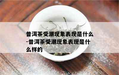 普洱茶受潮现象表现是什么-普洱茶受潮现象表现是什么样的