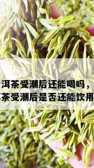 普洱茶受潮后还能喝吗，普洱茶受潮后是否还能饮用？