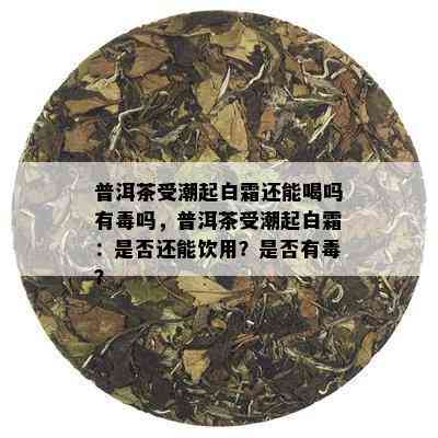 普洱茶受潮起白霜还能喝吗有吗，普洱茶受潮起白霜：是否还能饮用？是否有？