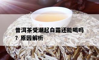 普洱茶受潮起白霜还能喝吗？原因解析