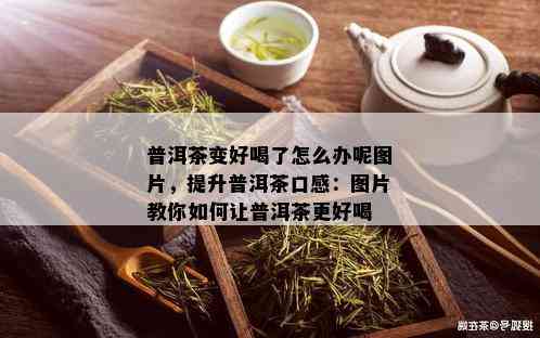 普洱茶变好喝了怎么办呢图片，提升普洱茶口感：图片教你如何让普洱茶更好喝