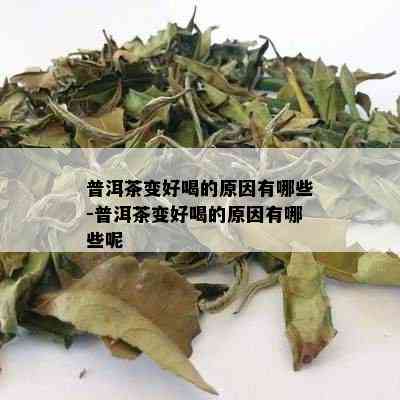 普洱茶变好喝的原因有哪些-普洱茶变好喝的原因有哪些呢