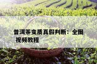 普洱茶变质真假判断：全图 视频教程