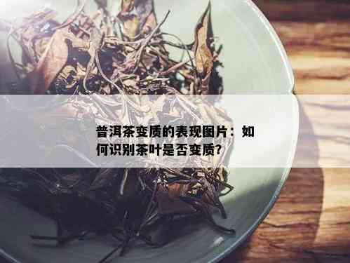 普洱茶变质的表现图片：如何识别茶叶是否变质？