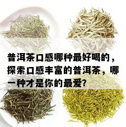 普洱茶口感哪种更好喝的，探索口感丰富的普洱茶，哪一种才是你的更爱？