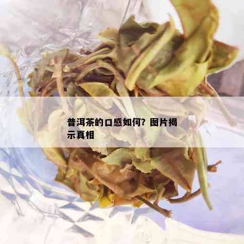 普洱茶的口感如何？图片揭示真相