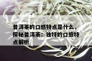 普洱茶的口感特点是什么，探秘普洱茶：独特的口感特点解析