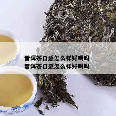 普洱茶口感怎么样好喝吗-普洱茶口感怎么样好喝吗