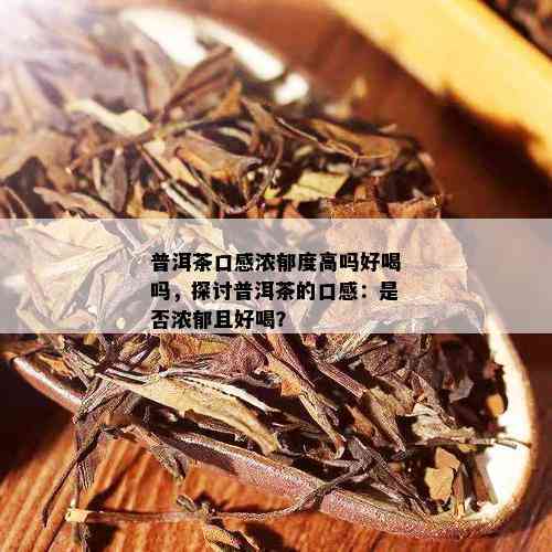 普洱茶口感浓郁度高吗好喝吗，探讨普洱茶的口感：是否浓郁且好喝？