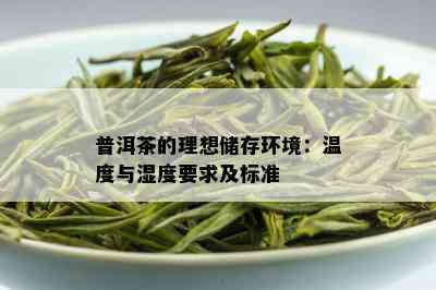 普洱茶的理想储存环境：温度与湿度要求及标准