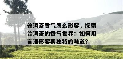 普洱茶香气怎么形容，探索普洱茶的香气世界：如何用言语形容其独特的味道？