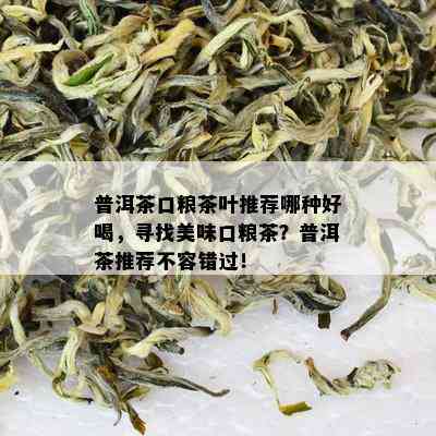 普洱茶口粮茶叶推荐哪种好喝，寻找美味口粮茶？普洱茶推荐不容错过！