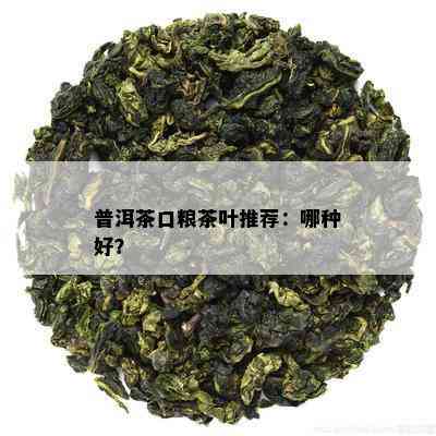 普洱茶口粮茶叶推荐：哪种好？