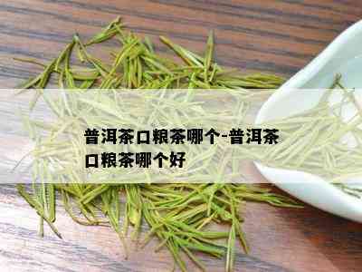 普洱茶口粮茶哪个-普洱茶口粮茶哪个好