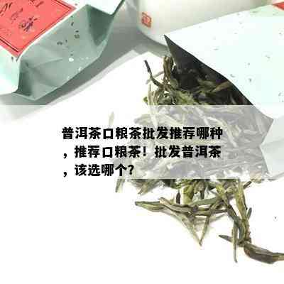 普洱茶口粮茶批发推荐哪种，推荐口粮茶！批发普洱茶，该选哪个？