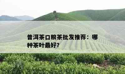 普洱茶口粮茶批发推荐：哪种茶叶更好？