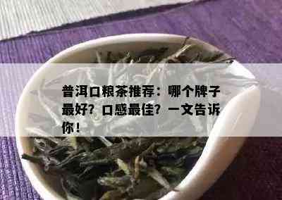 普洱口粮茶推荐：哪个牌子更好？口感更佳？一文告诉你！