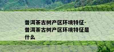 普洱茶古树产区环境特征-普洱茶古树产区环境特征是什么